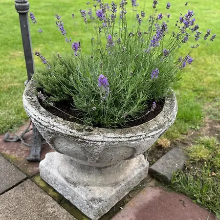 Weserblick, Haus Forelle 린텔른