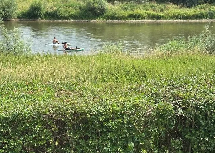 Weserblick, Haus Forelle *