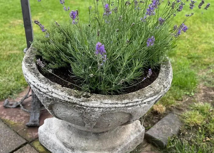 Weserblick, Haus Forelle Rinteln